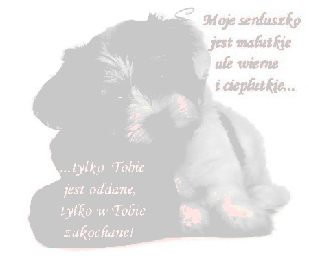 Biały piesek z sercem na walentynki